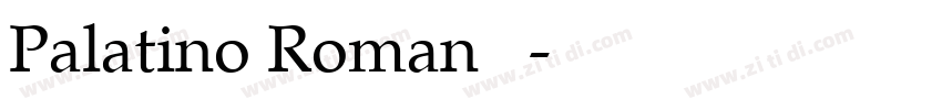 Palatino Roman 常规字体转换